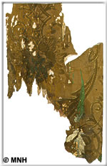 A fragment of the original wallpaper